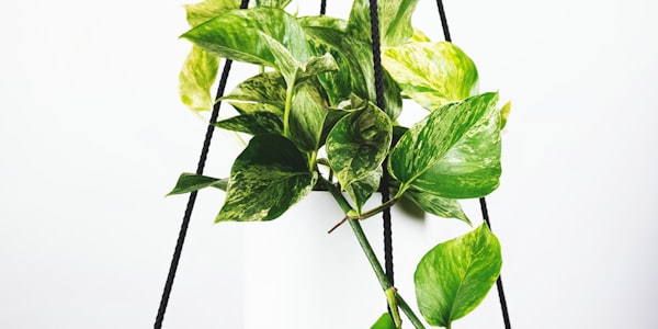 英超联赛曼城对阵利物浦的激烈比赛场面，球员在争抢球权